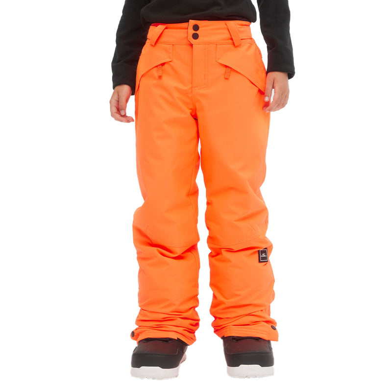 Load image into Gallery viewer, O'Neill Boys' Anvil Pants 2024