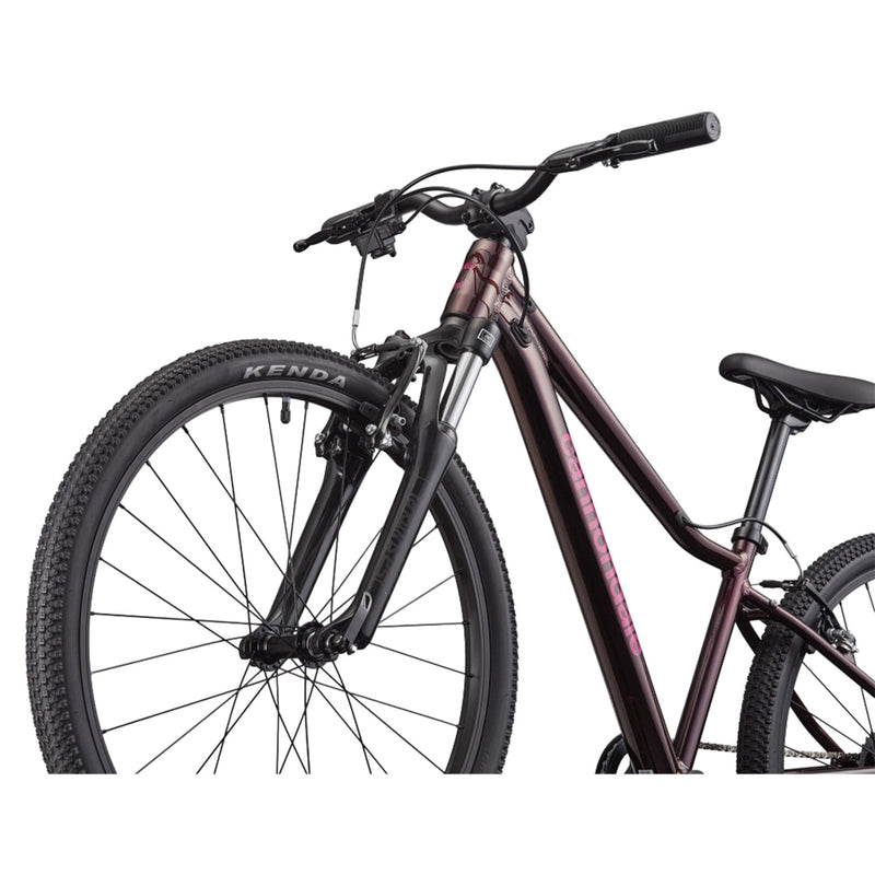 Load image into Gallery viewer, Cannondale Kids' Trail 24" C2 Mountain Bike