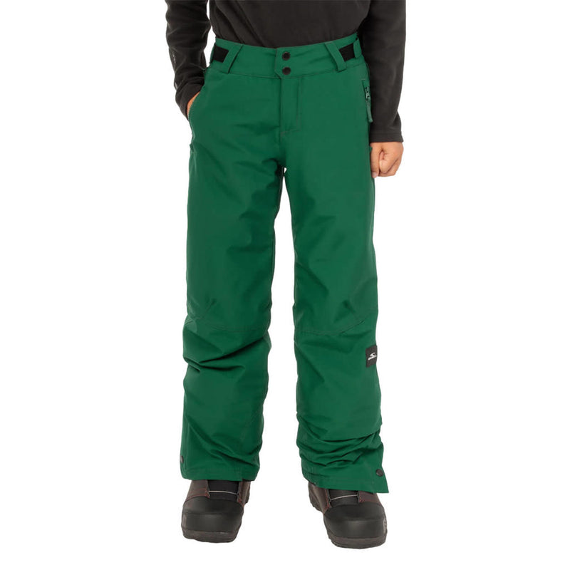 Load image into Gallery viewer, O'Neill Boys' FWC Cruz Snow Pants 2026