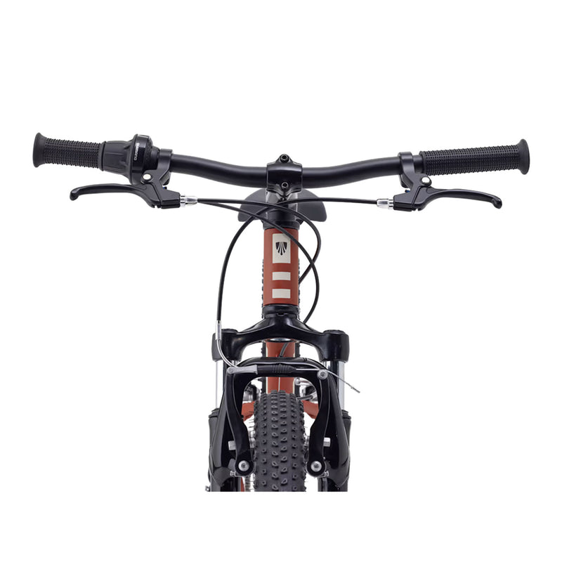 Load image into Gallery viewer, Trek Kids' Precaliber 24" Suspension Bike