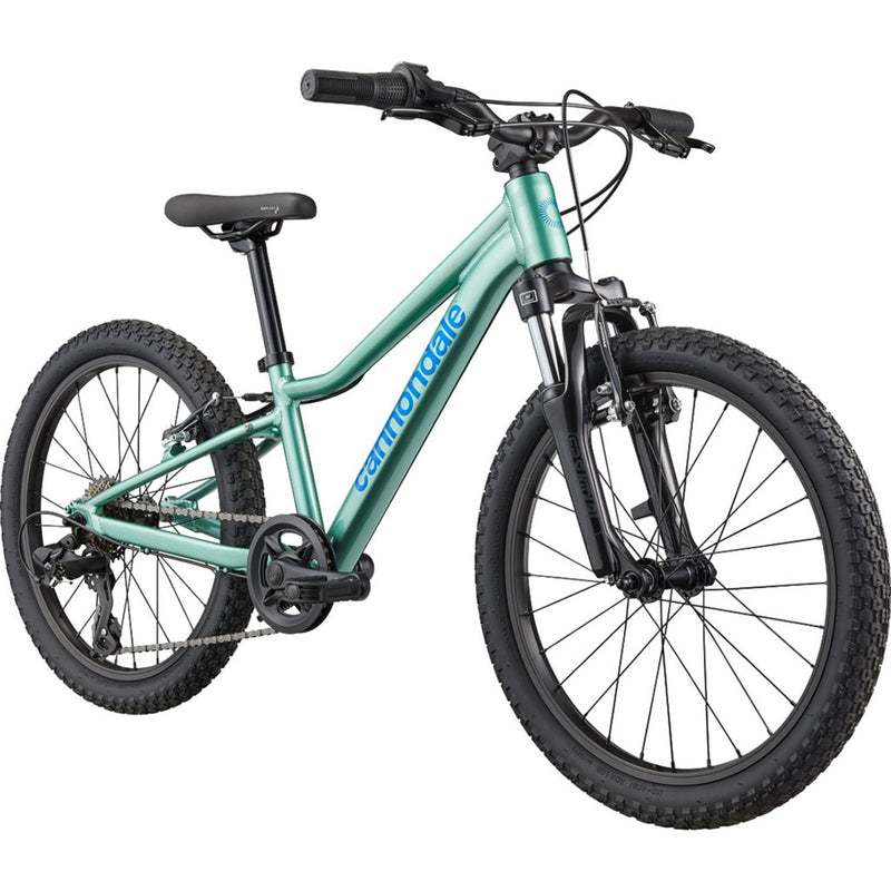 Load image into Gallery viewer, Cannondale Kids' Trail 20" Mountain Bike 2026