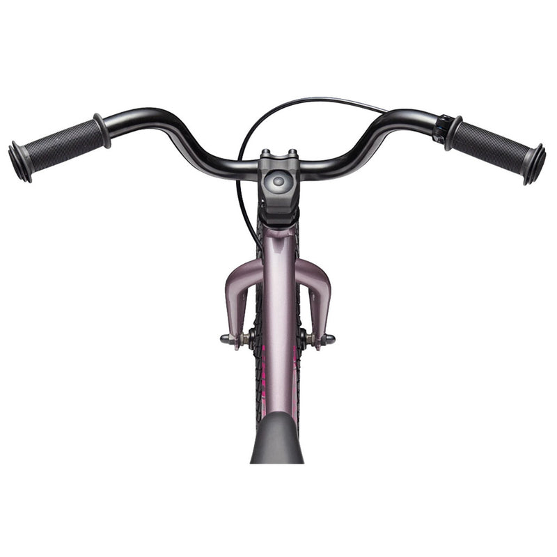 Load image into Gallery viewer, Cannondale Kids' Trail 16" Single Speed Bike 2026