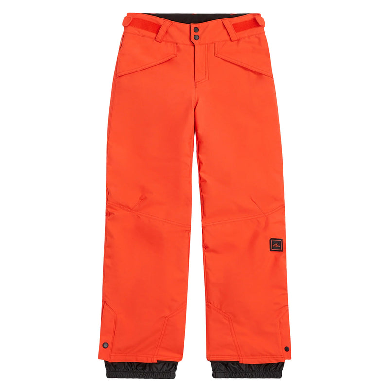 Load image into Gallery viewer, O'Neill Boys' Anvil Snow Pants 2025