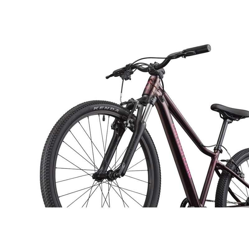 Load image into Gallery viewer, Cannondale Kids' Trail 24" Mountain Bike 2026
