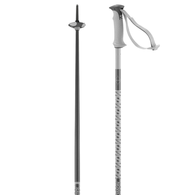 Load image into Gallery viewer, Salomon Polar Downhill Ski Poles 2026
