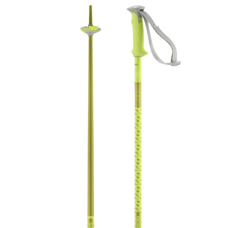 Load image into Gallery viewer, Salomon Polar Downhill Ski Poles 2026
