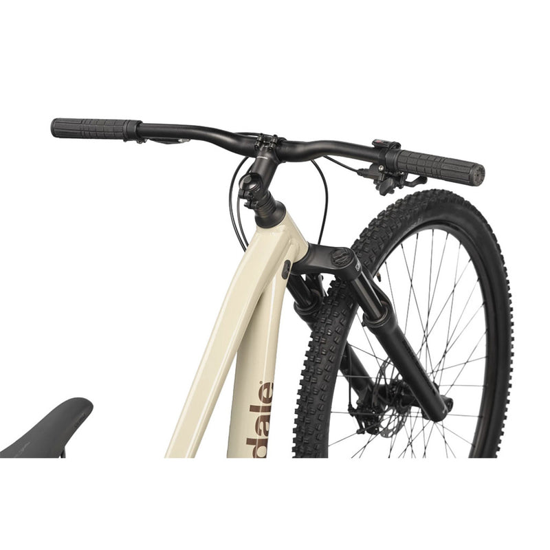 Load image into Gallery viewer, Cannondale Trail 3 29" Mountain Bike 2027

