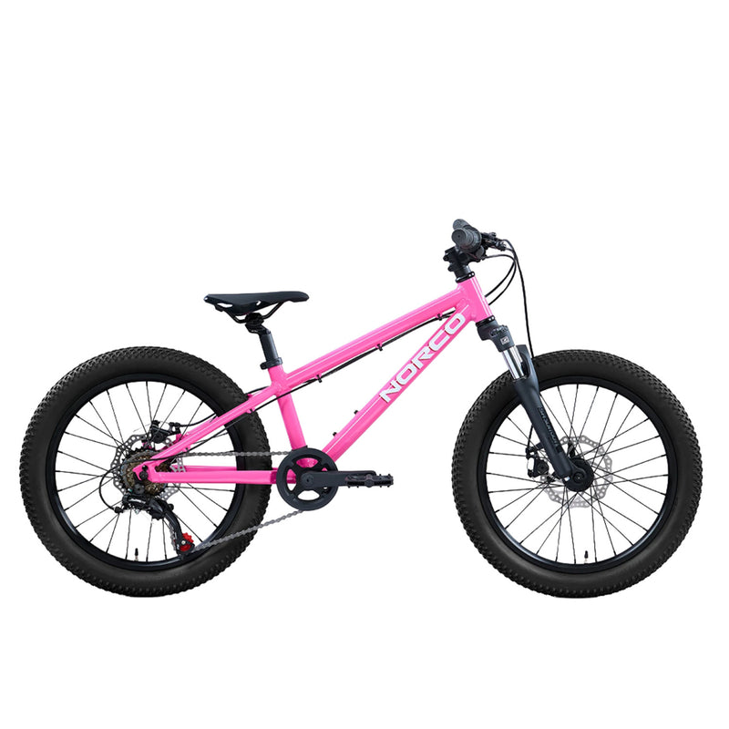 Load image into Gallery viewer, Norco Kids' Storm 20" Mountain Bike
