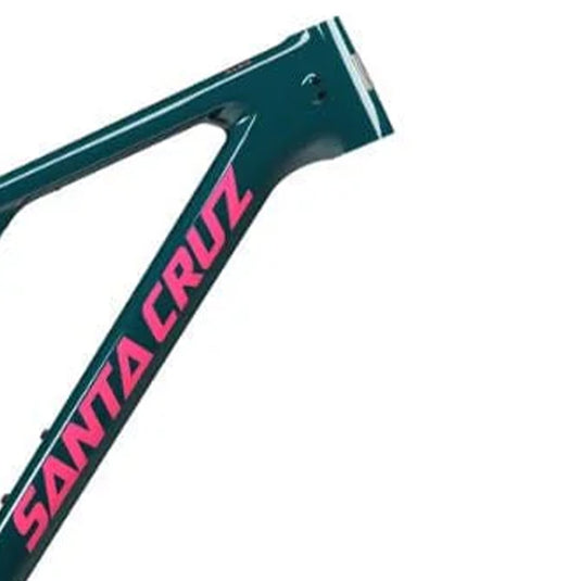 Santa Cruz Blur 4 Carbon CC 29 TR Frame 2025