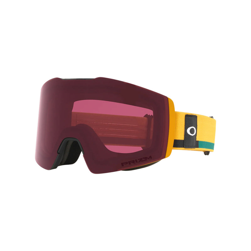 Load image into Gallery viewer, Oakley Fall Line M Snow Goggles 2022
