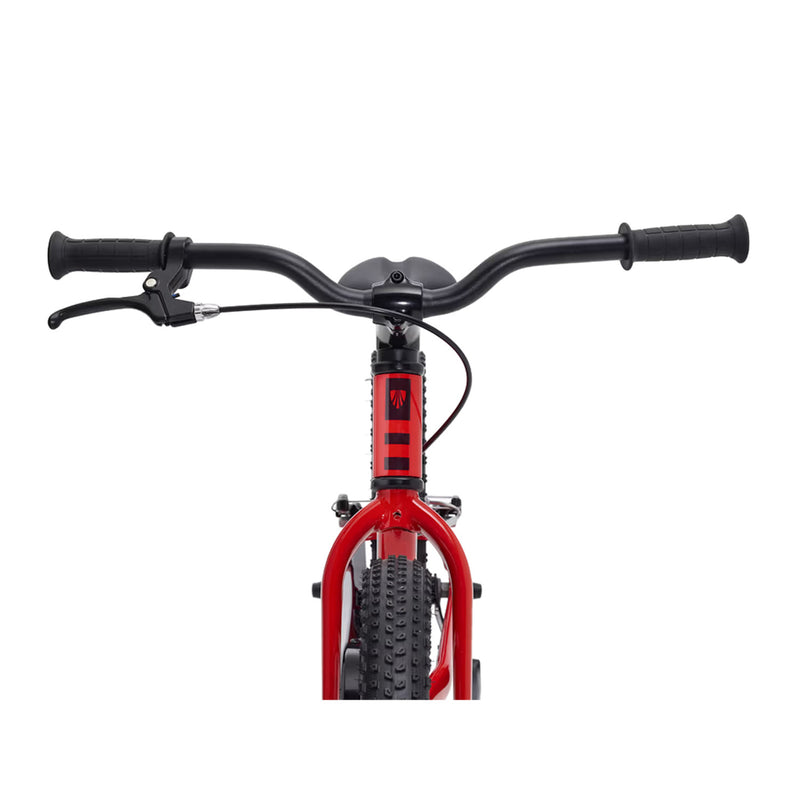Load image into Gallery viewer, Trek Kids' Precaliber 20" Bike
