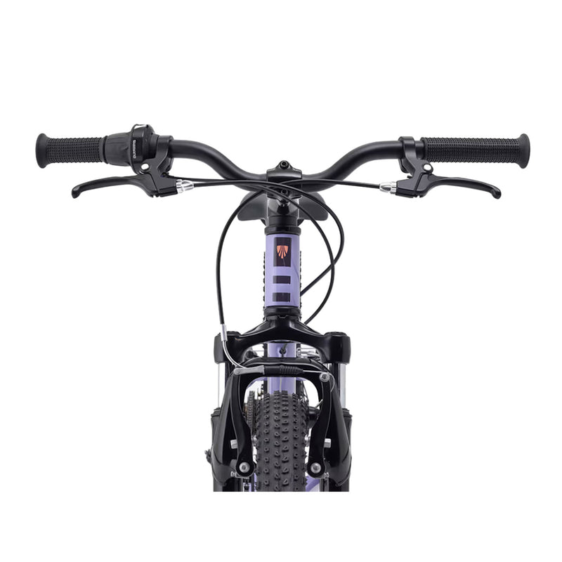 Load image into Gallery viewer, Trek Kids' Precaliber 20" 7-Speed Bike
