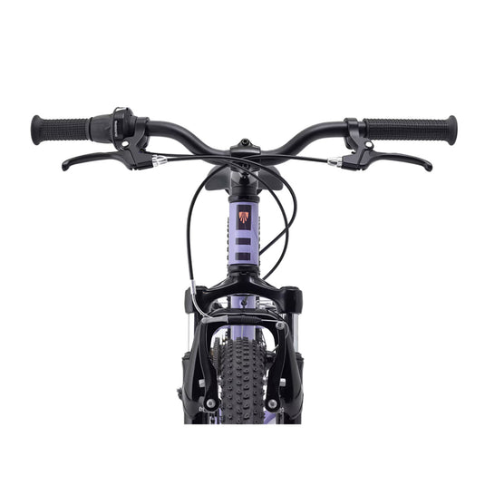 Trek Kids' Precaliber 20" 7-Speed Bike