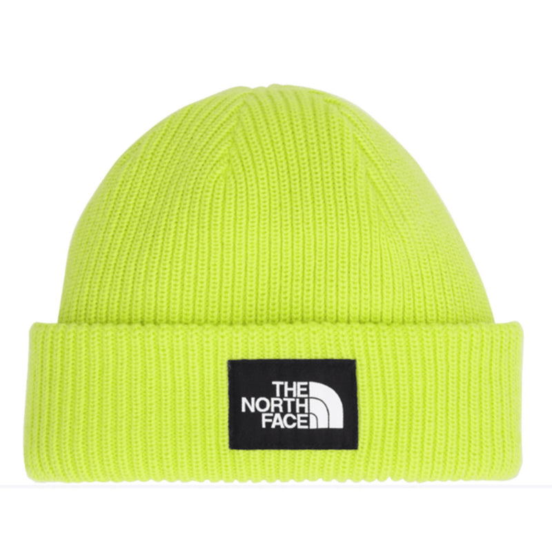 Load image into Gallery viewer, The North Face Salty Lined Beanie
