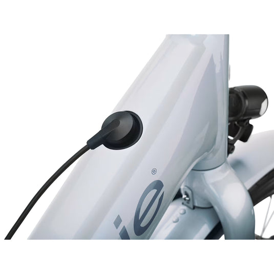 Trek Townie Go! S Step Thru E-Bike 2027