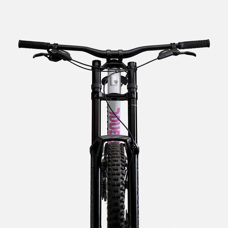 Load image into Gallery viewer, Rossignol DH Project Mountain Bike 2025
