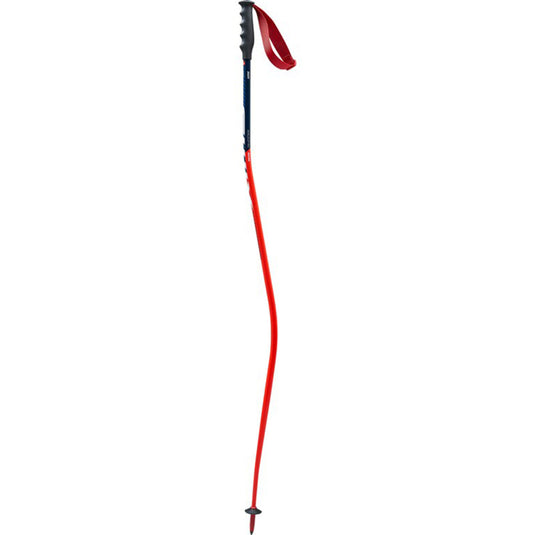 Swix World Cup Pro Downhill Ski Poles