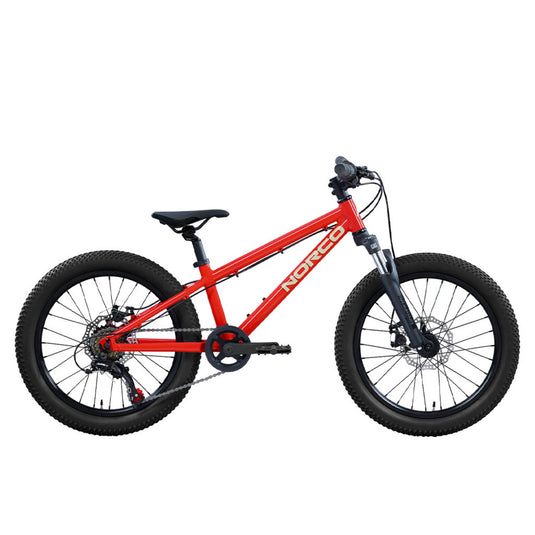 Norco Storm S20