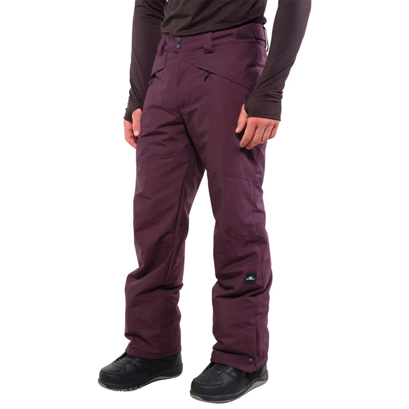 Load image into Gallery viewer, O'Neill Hammer Insulated Pants 2025

