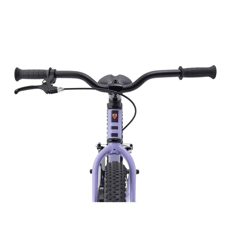 Load image into Gallery viewer, Trek Kids' Precaliber 20" Bike
