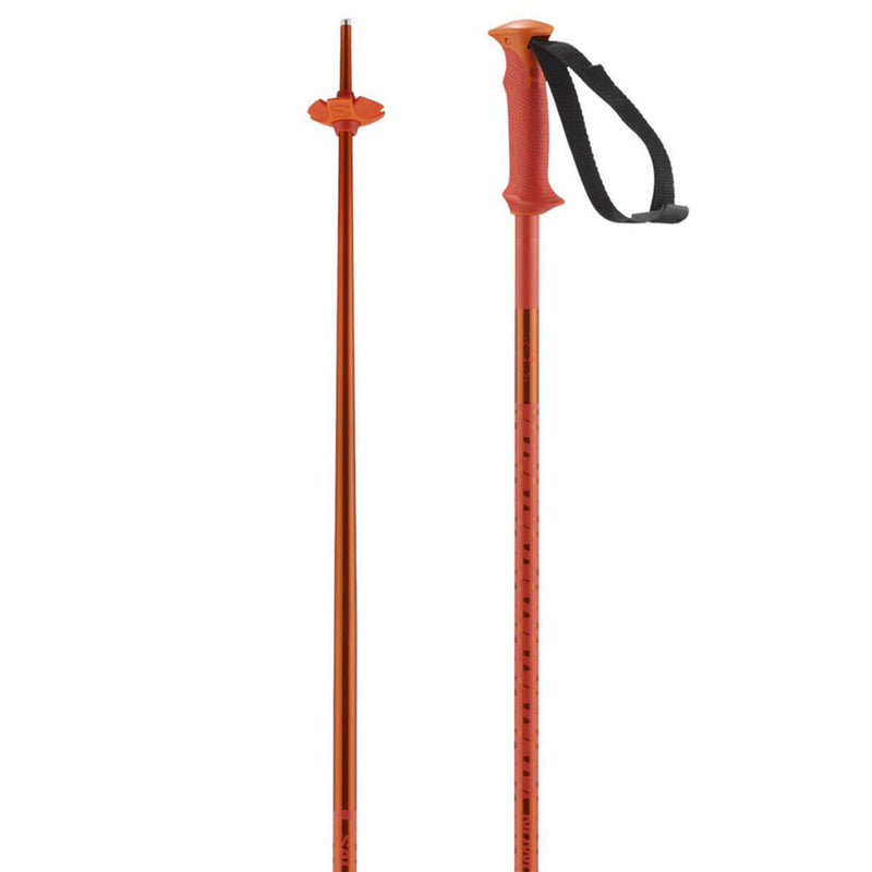 Load image into Gallery viewer, Salomon Polar Downhill Ski Poles 2026
