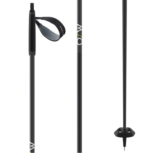 atomic cross country ski poles Fischer BC Offtrack Ski Poles