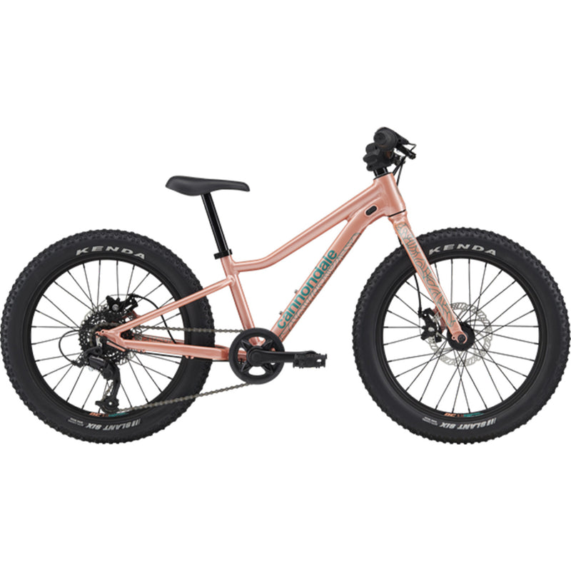 Load image into Gallery viewer, Cannondale Kids' Trail Plus 20" Mountain Bike 2025
