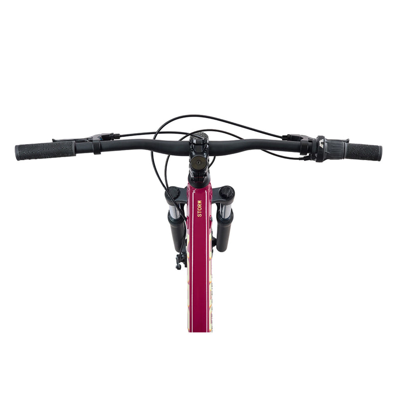 Load image into Gallery viewer, Norco Kids' Storm 26" Mountain Bike
