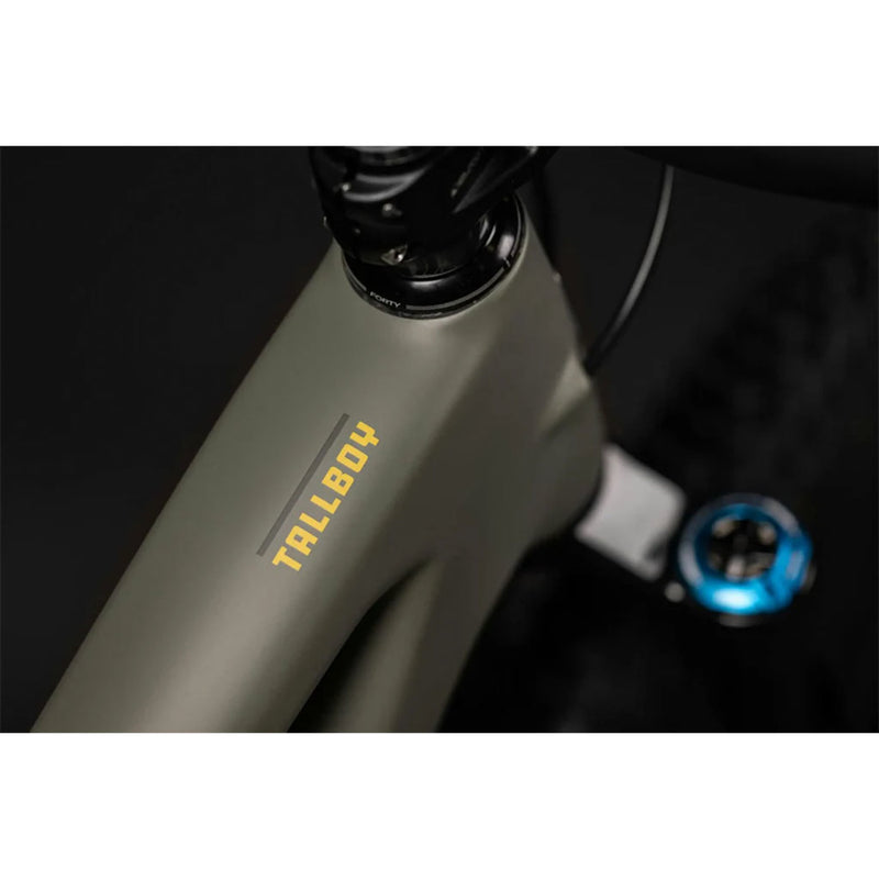 Load image into Gallery viewer, Santa Cruz Tallboy 5 Carbon C 29 GX AXS Kit Mountain Bike 2024

