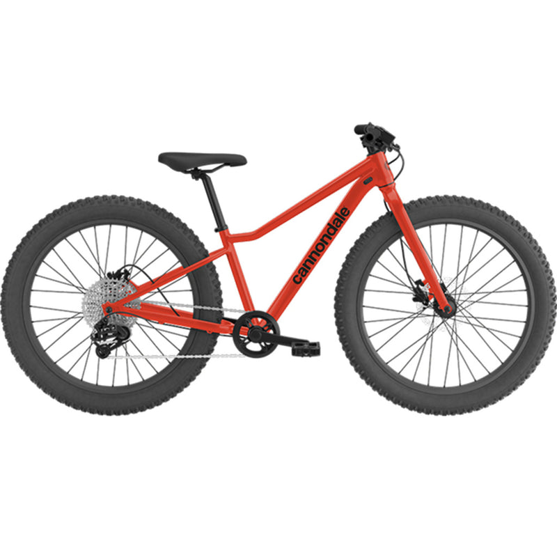 Load image into Gallery viewer, Cannondale Kids' Trail Plus 24" Mountain Bike
