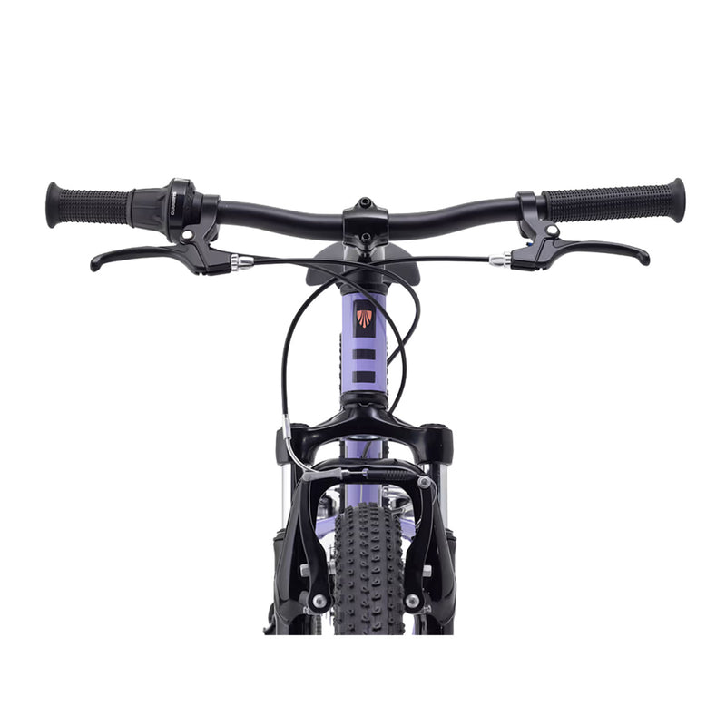 Load image into Gallery viewer, Trek Kids' Precaliber 24" Suspension Bike
