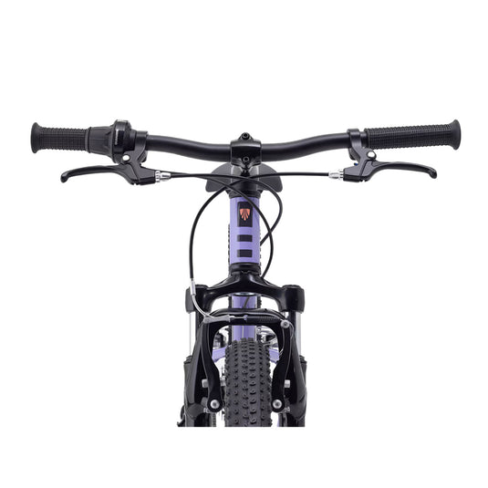 Trek Kids' Precaliber 24" Suspension Bike