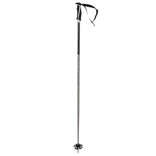 Volkl Phantastick 18mm Ski Poles
